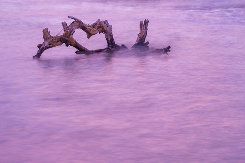 Camping on Capers Island A Closer Look Mary Presson Roberts Photography